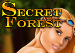 Secret Forest